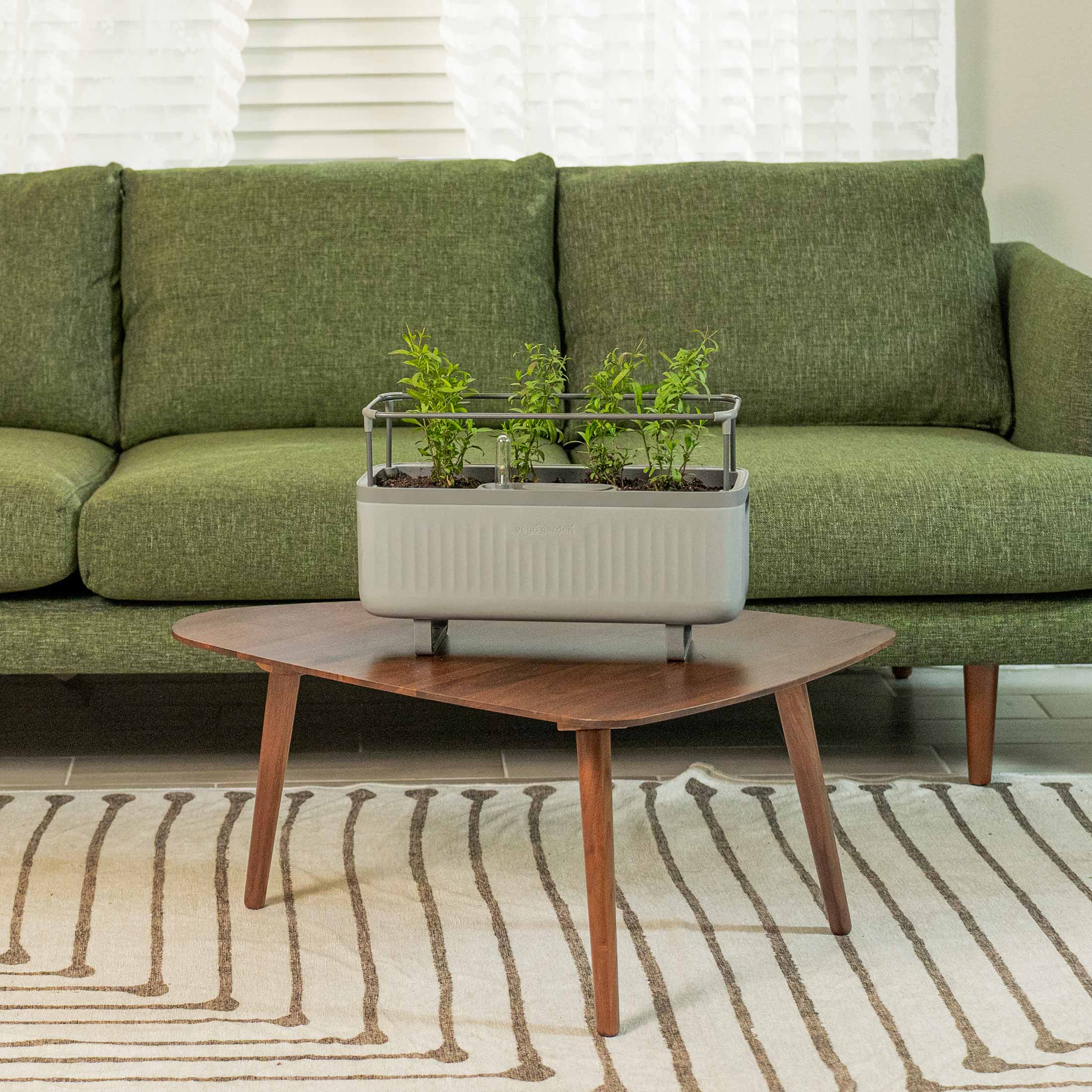 Self - Watering Herb Planter Box with Trellis - Team Grow