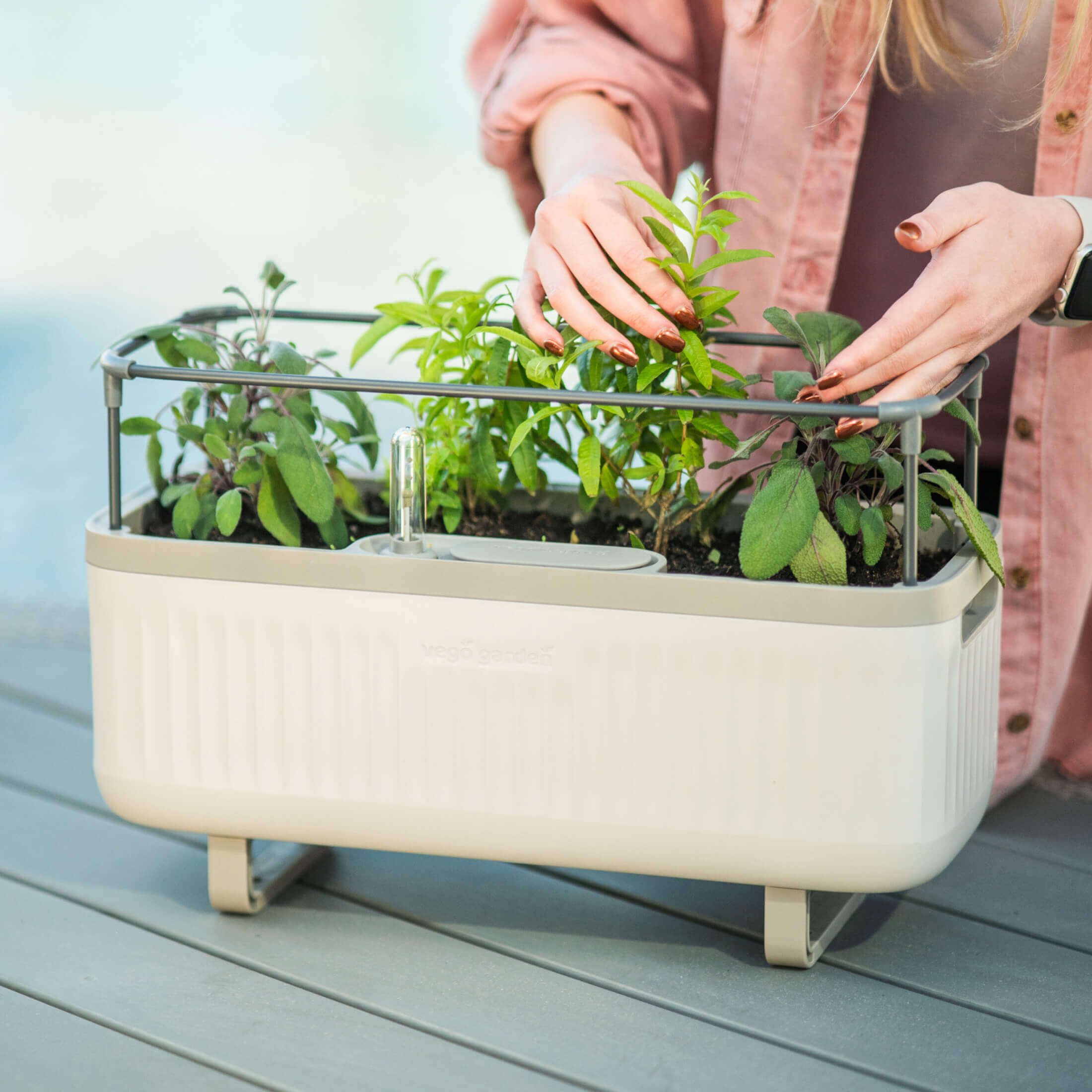 Self - Watering Herb Planter Box with Trellis - Team Grow