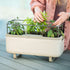 Self - Watering Herb Planter Box with Trellis - Team Grow