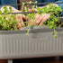 Self - Watering Herb Planter Box with Trellis - Team Grow
