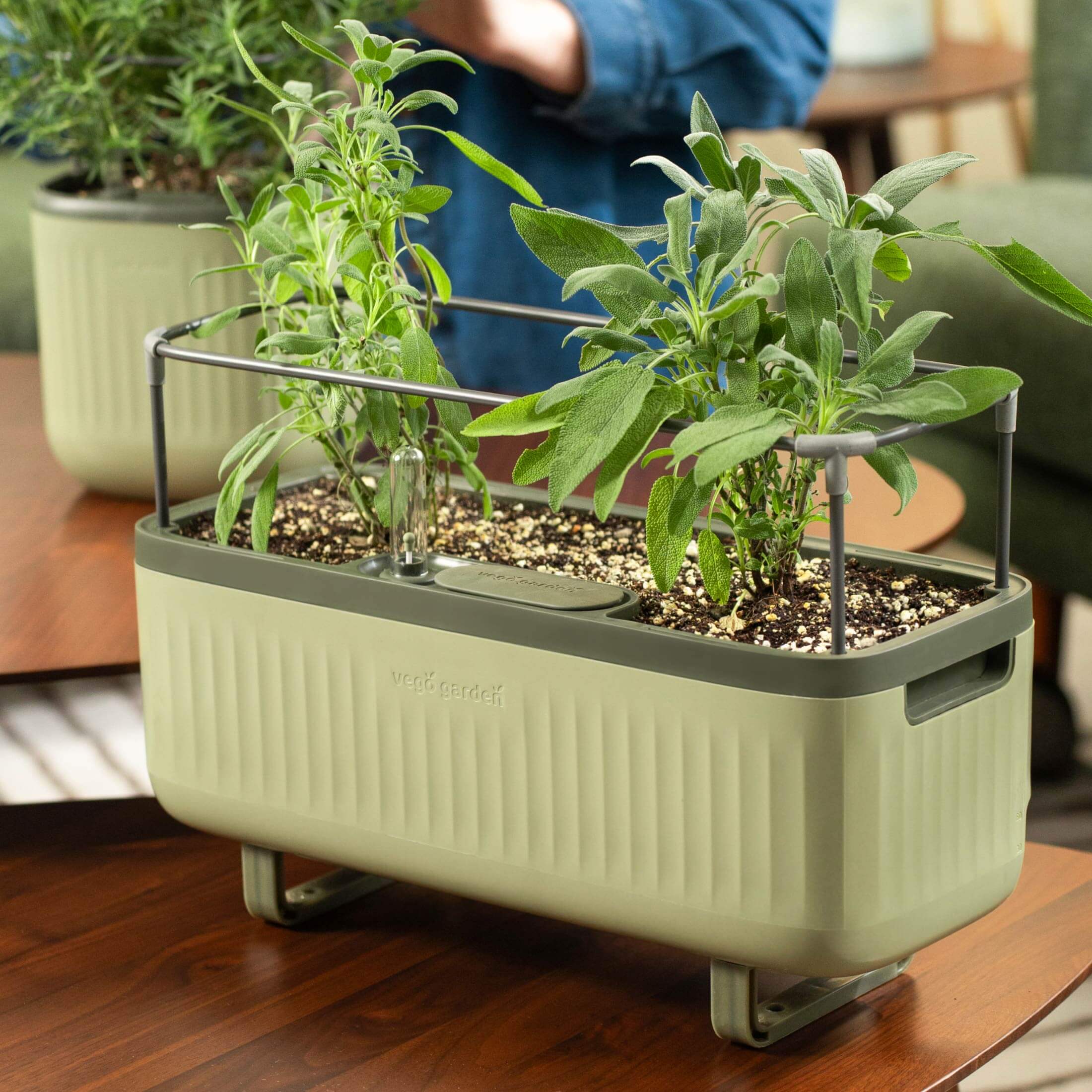 Self - Watering Herb Planter Box with Trellis - Team Grow