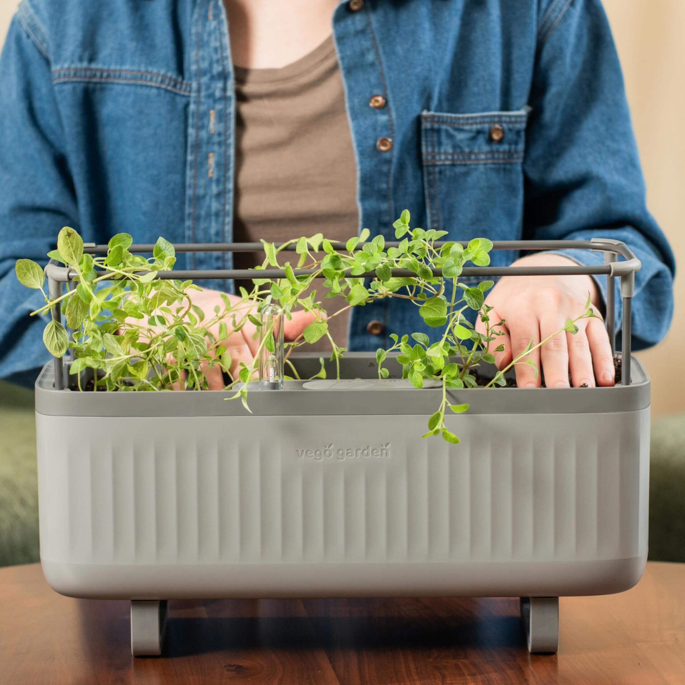Self - Watering Herb Planter Box with Trellis - Team Grow