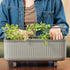 Self - Watering Herb Planter Box with Trellis - Team Grow