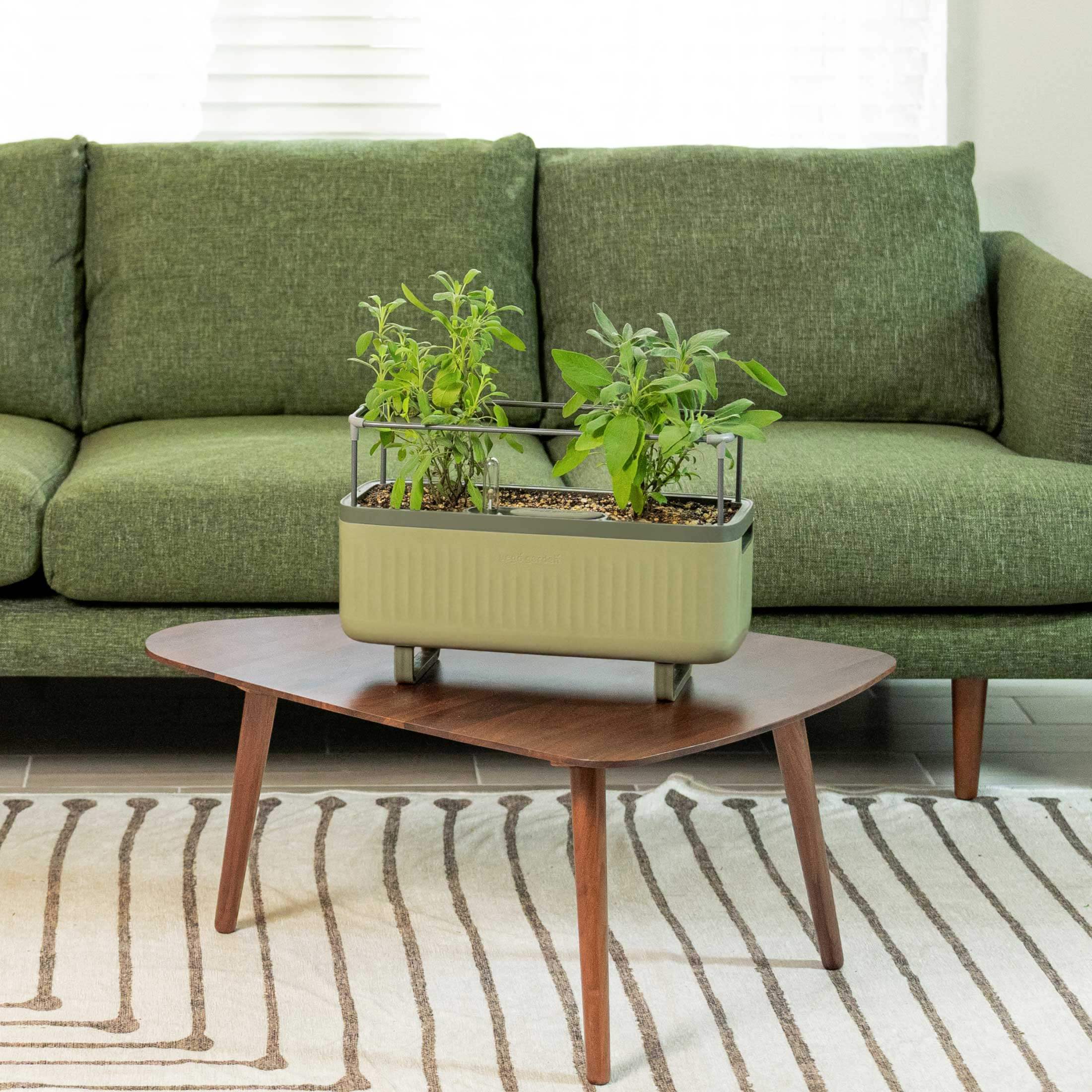 Self - Watering Herb Planter Box with Trellis - Team Grow