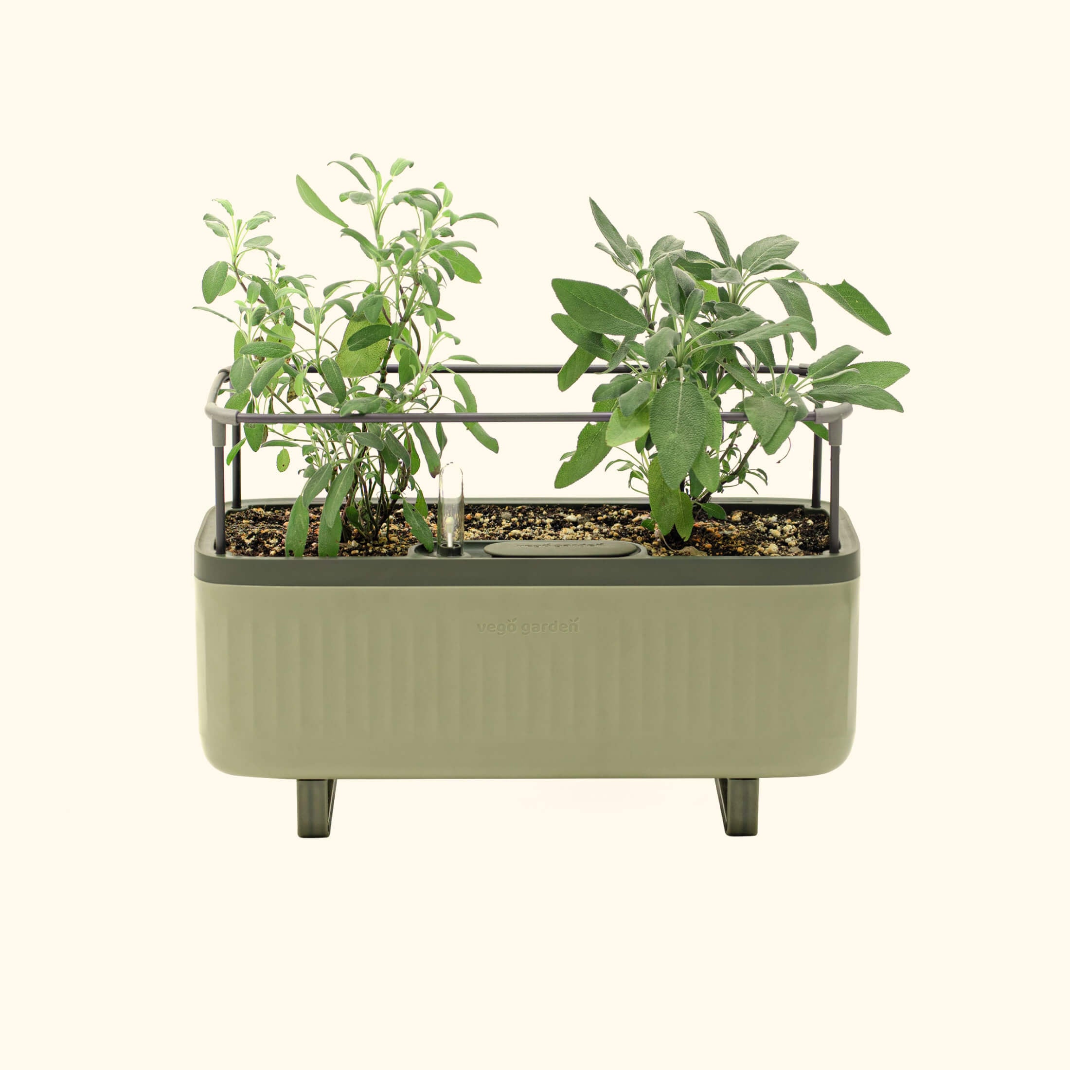 Self - Watering Herb Planter Box with Trellis - Team Grow