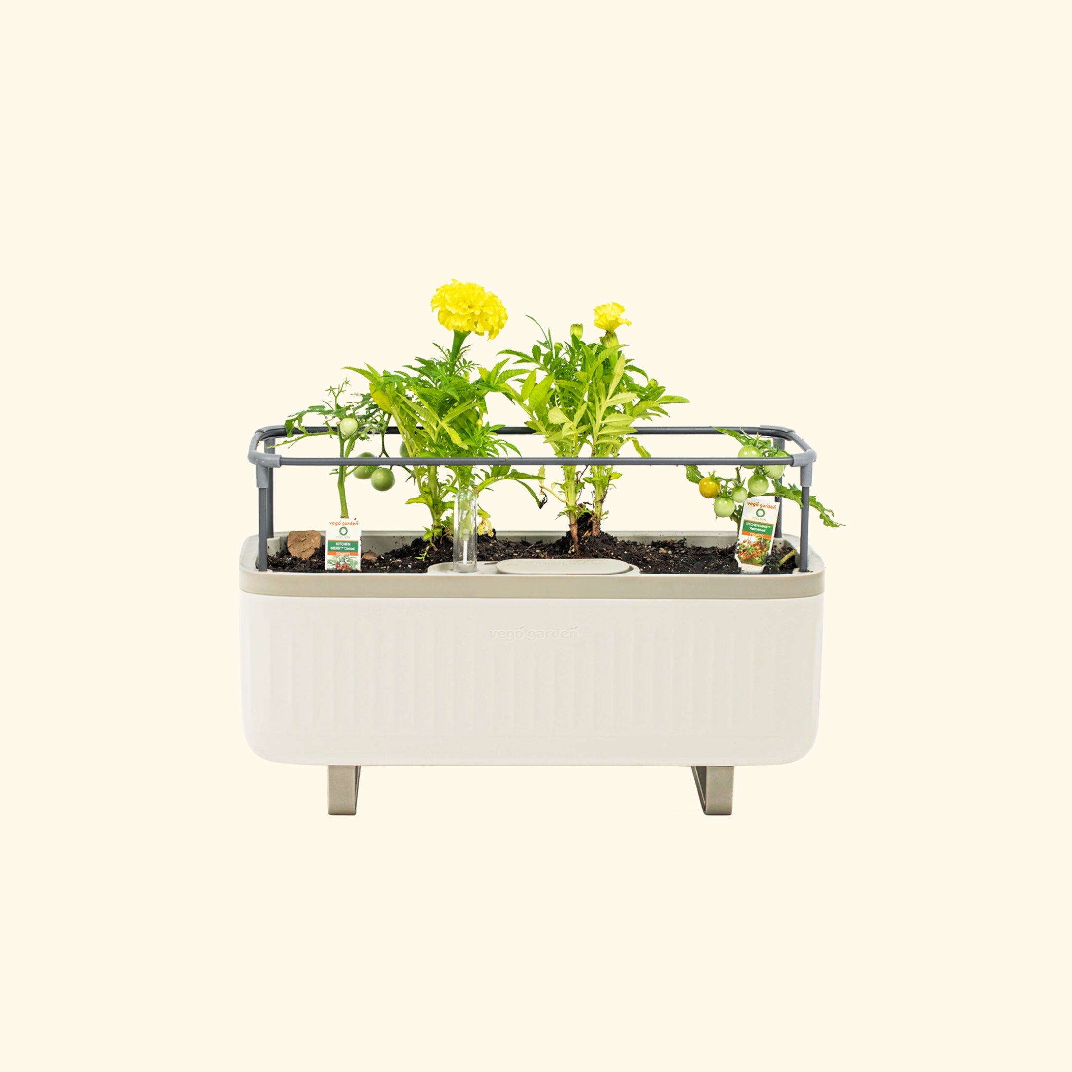 Self - Watering Herb Planter Box with Trellis - Team Grow