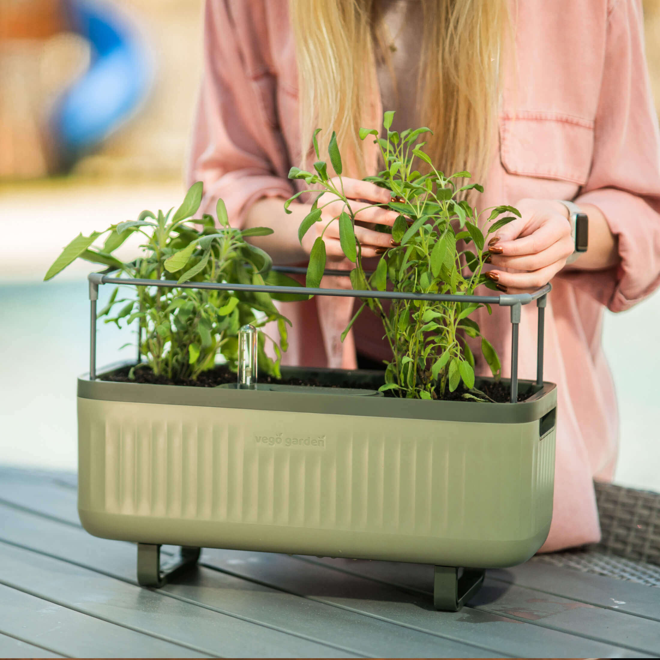 Self - Watering Herb Planter Box with Trellis - Team Grow