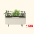Self - Watering Herb Planter Box with Trellis - Team Grow
