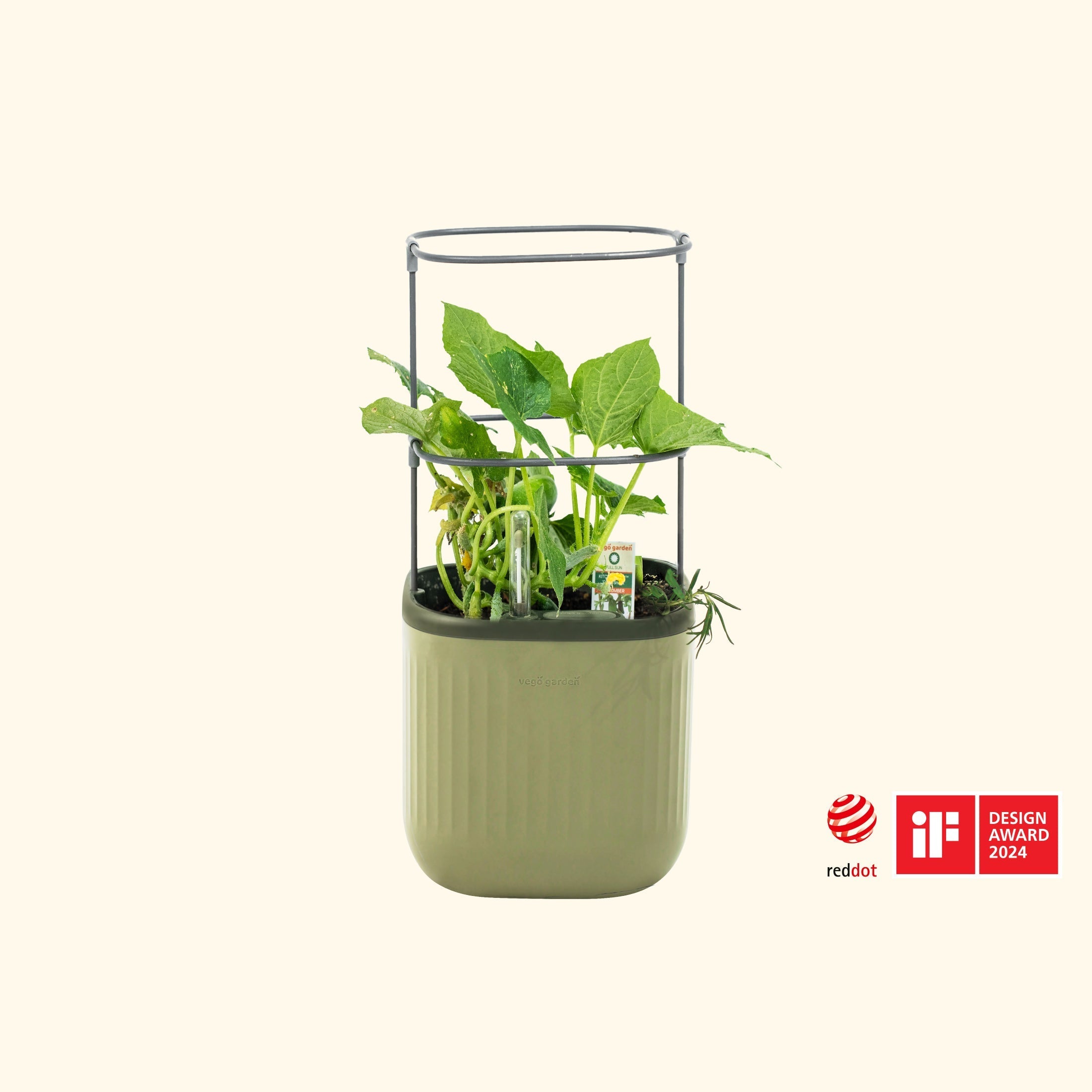 indoor self watering herb planter Self-Watering Mini Planter Pot with Trellis
