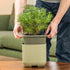 Self - Watering Mini Planter Pot with Trellis - Team Grow