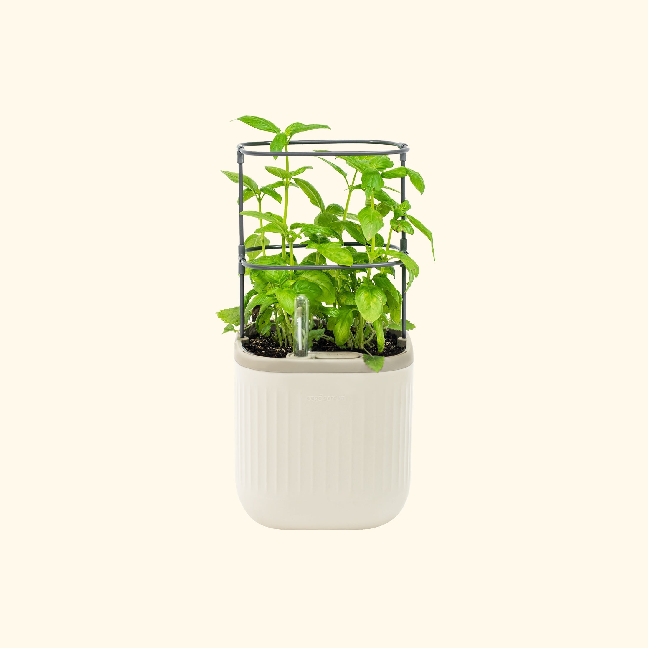 Self - Watering Mini Planter Pot with Trellis - Team Grow