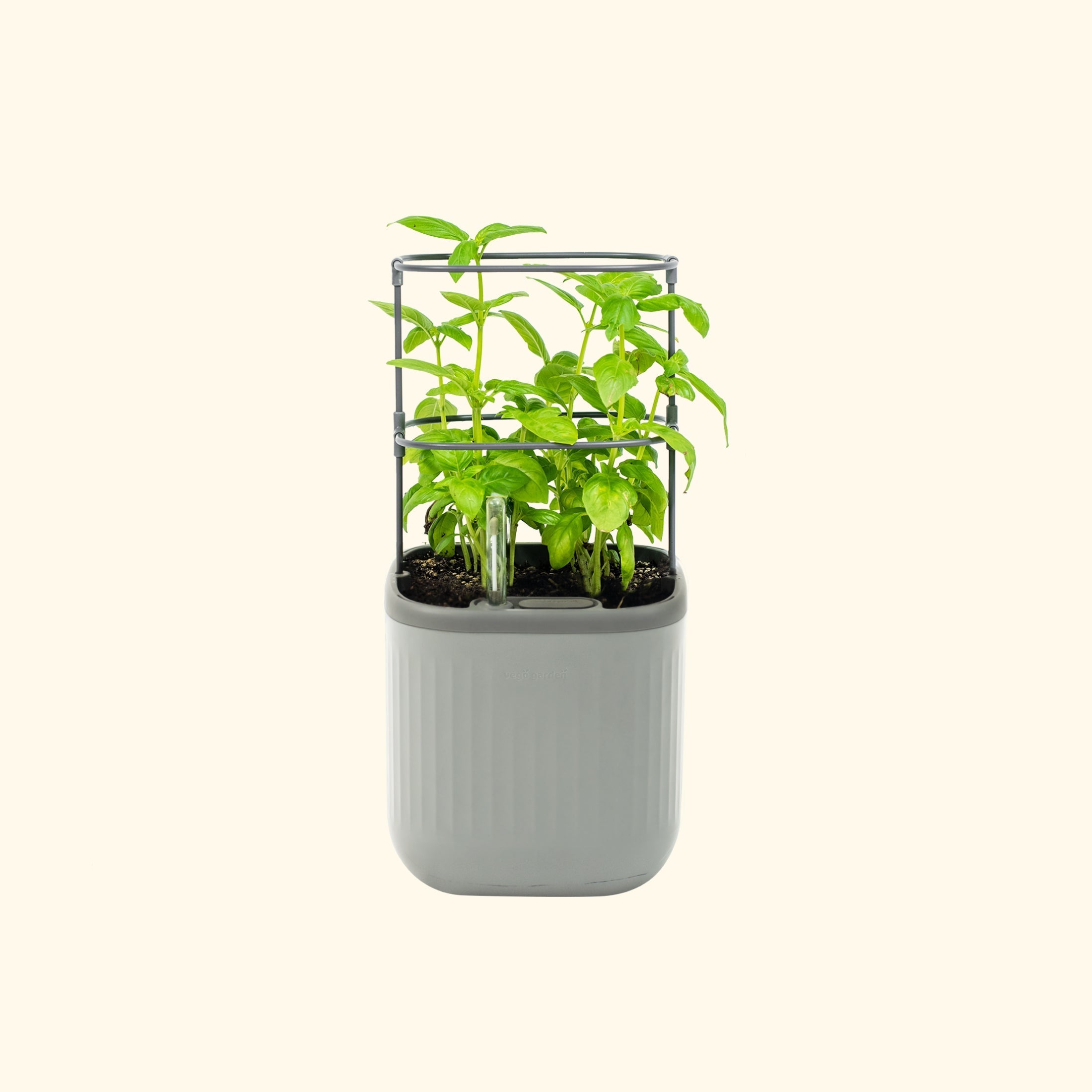 Self - Watering Mini Planter Pot with Trellis - Team Grow