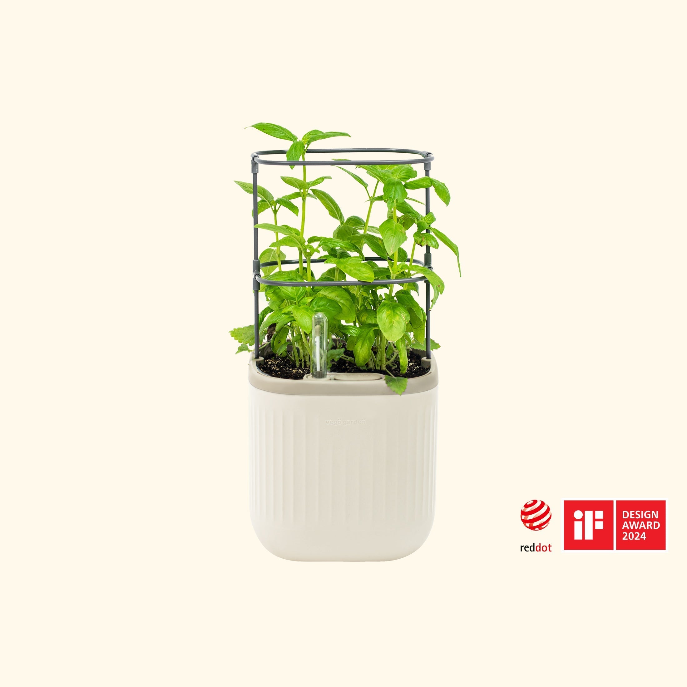 Self - Watering Mini Planter Pot with Trellis - Team Grow