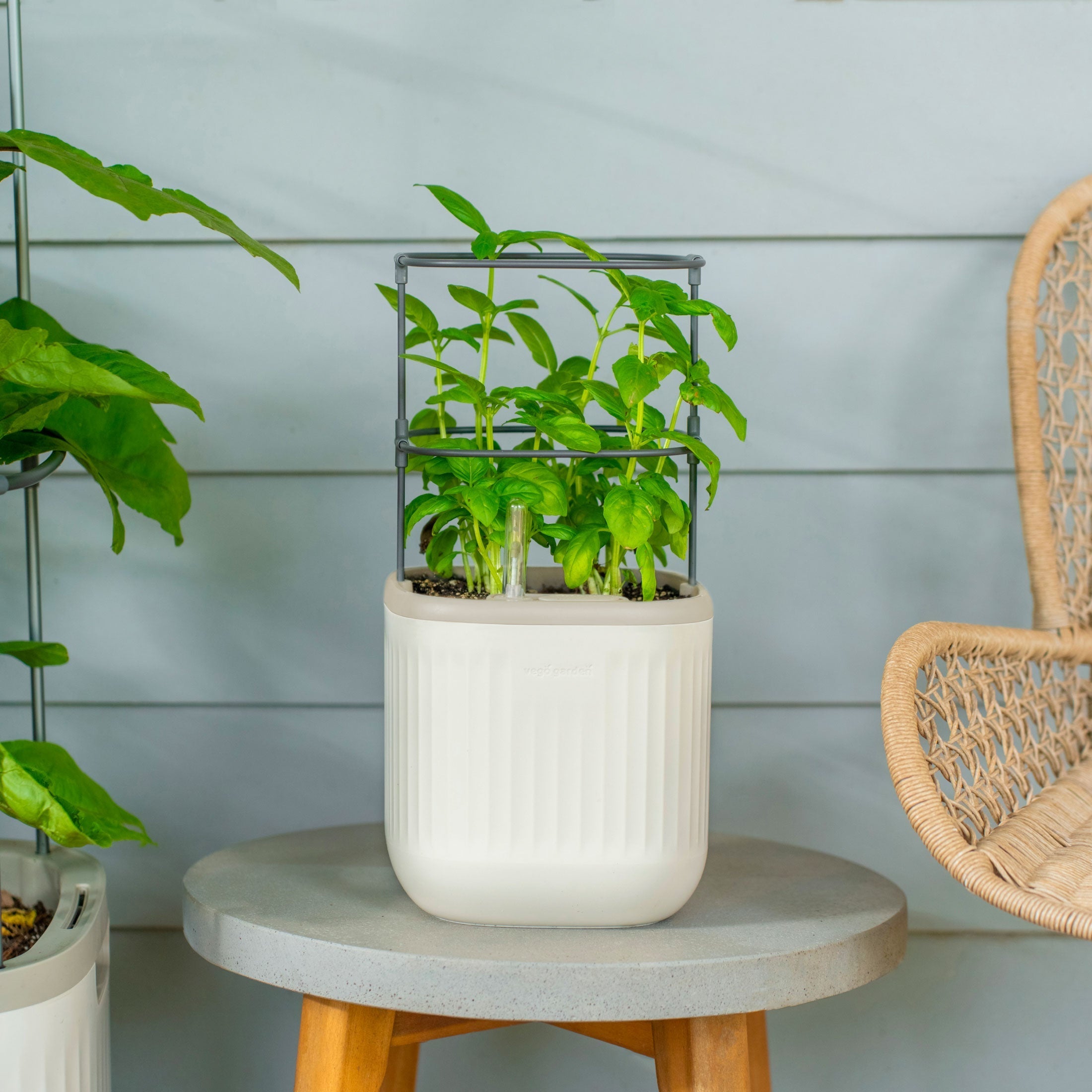 Self - Watering Mini Planter Pot with Trellis - Team Grow