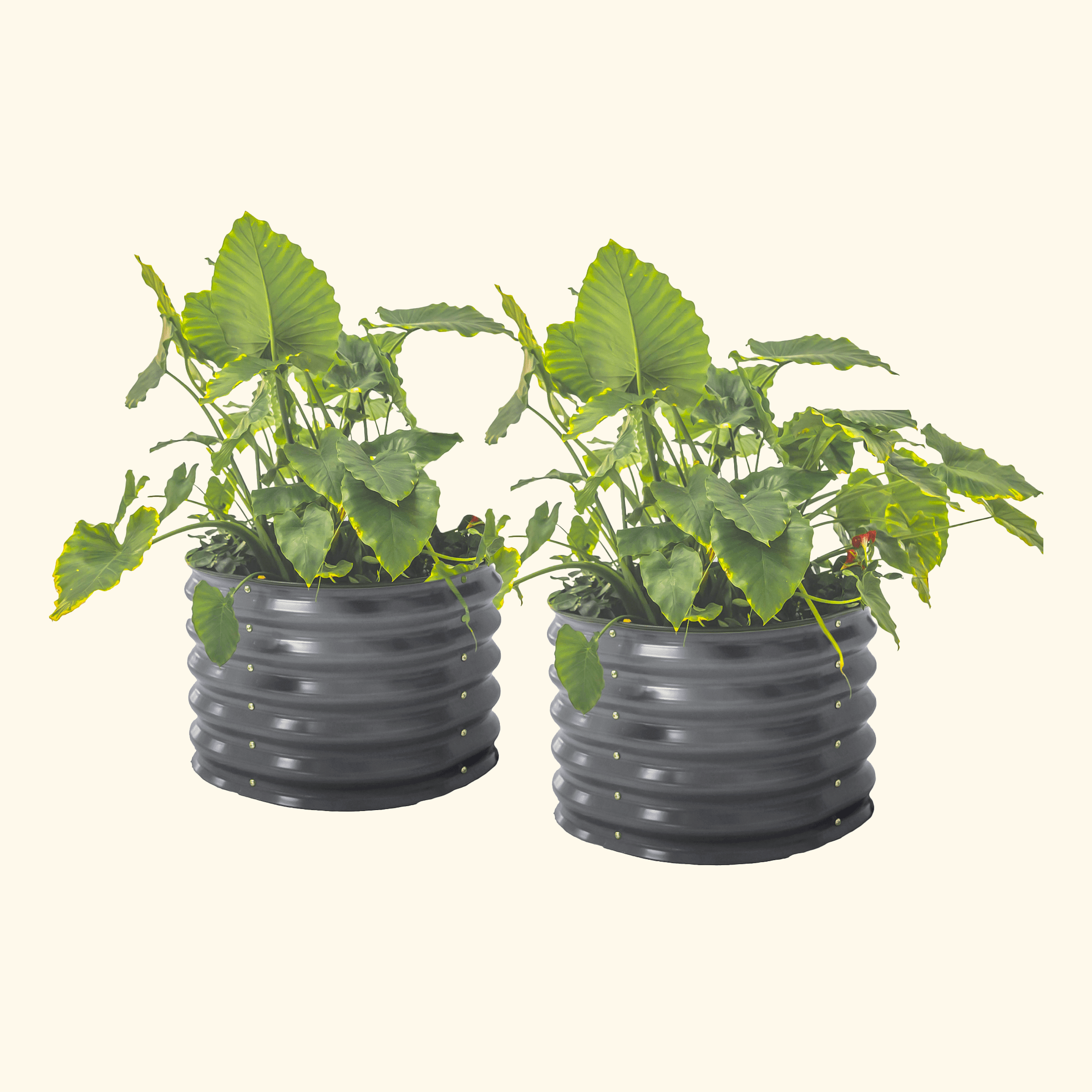 Self - Watering Planter - Twin Pack - Team Grow
