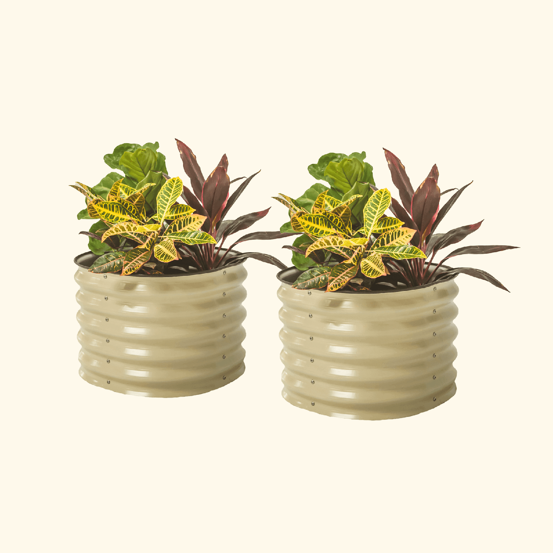 self-watering eco-stained elevated 2'x8' planter box Self-Watering Planter