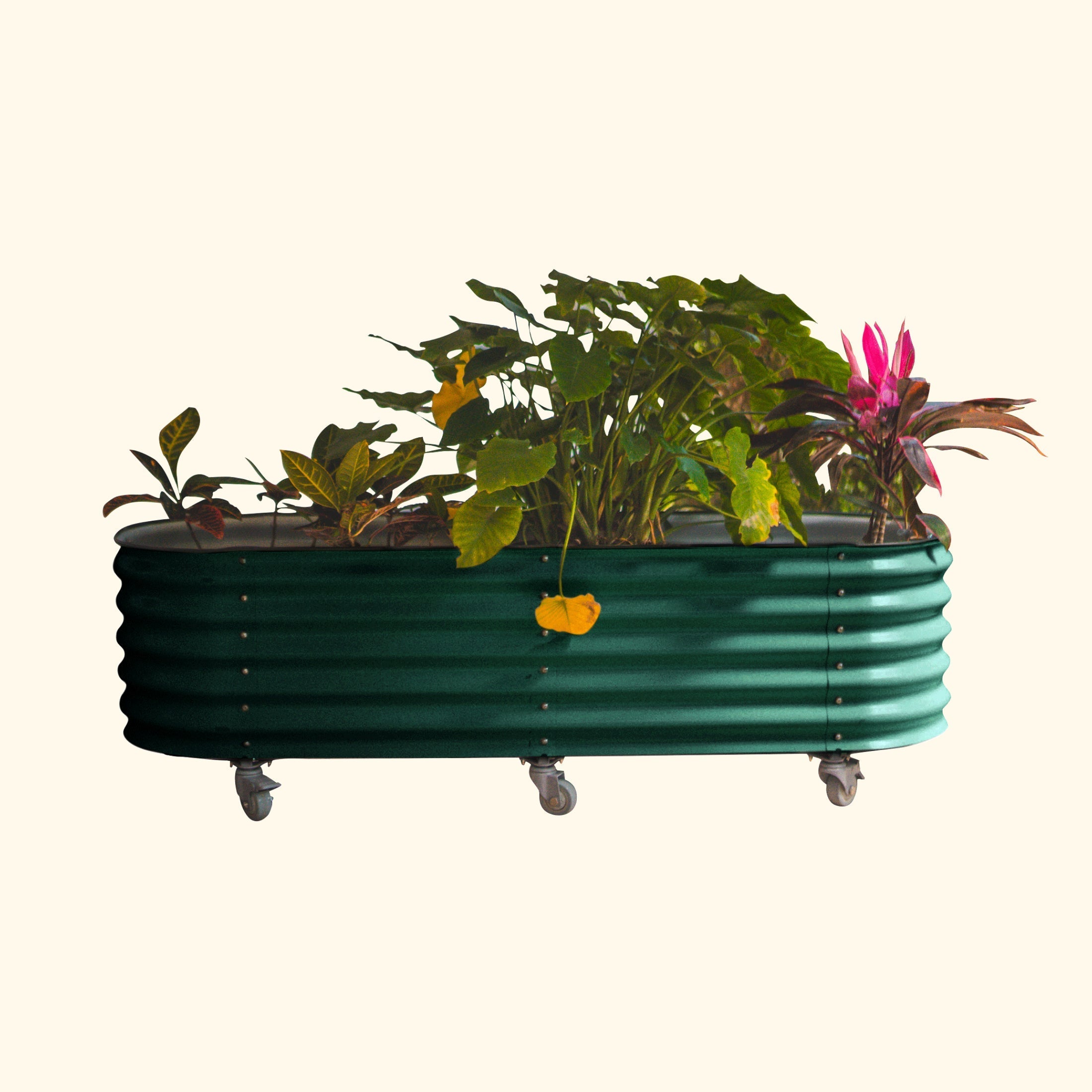 viva self watering rolling planter Self Watering Rolling Garden Bed – Team Grow