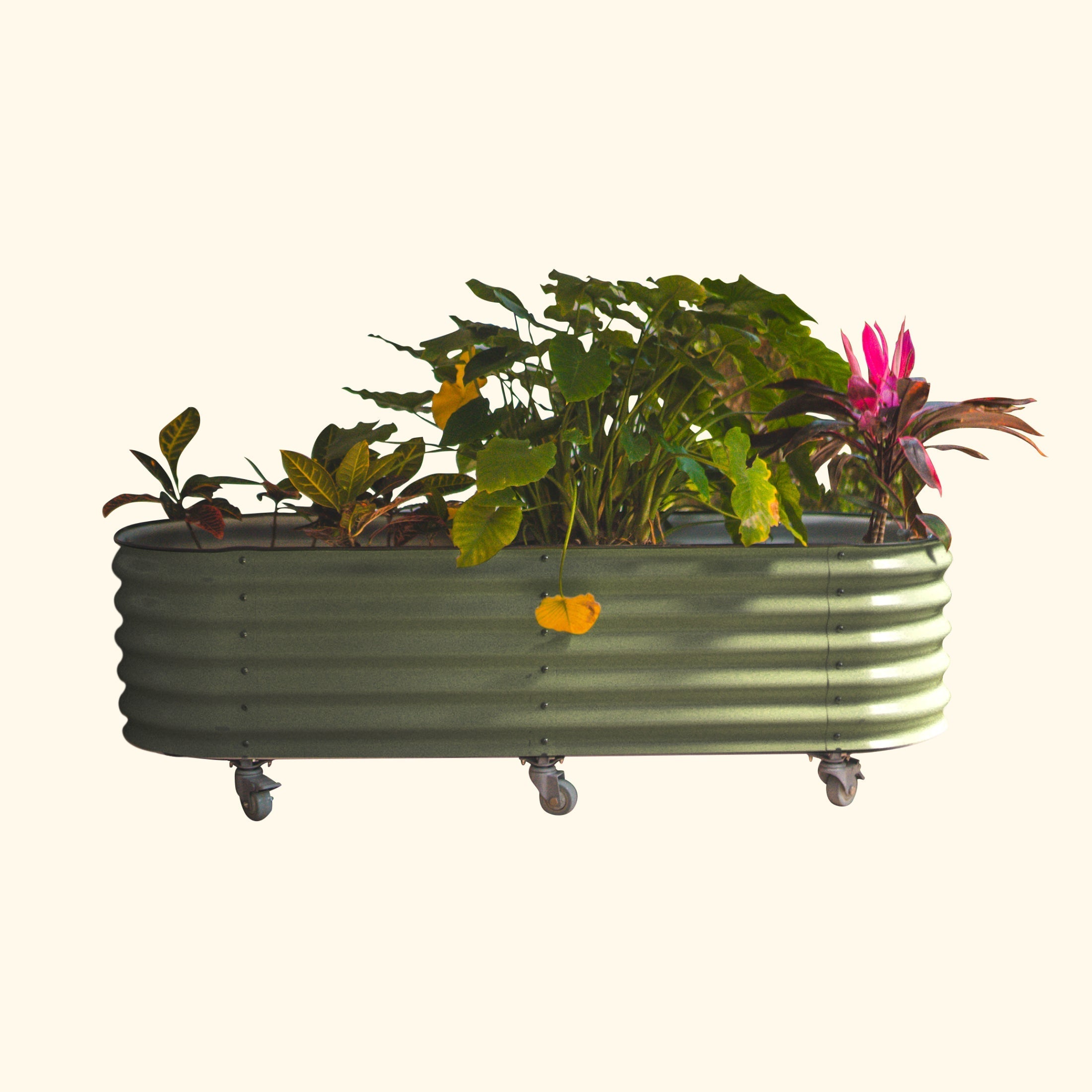 vego self watering rolling planter Self Watering Rolling Garden Bed