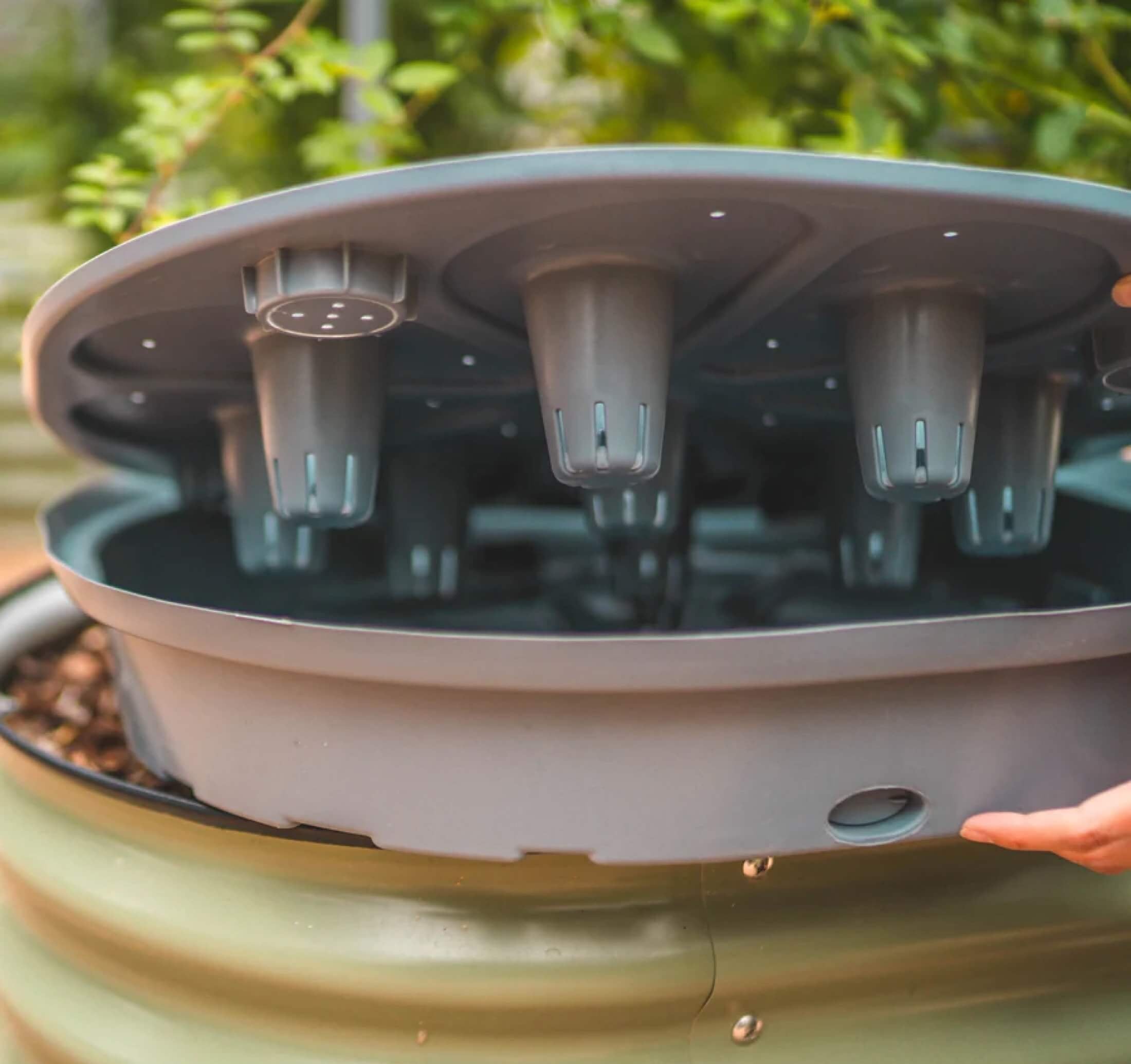 Self Watering Wicking Cell Bottom - Team Grow