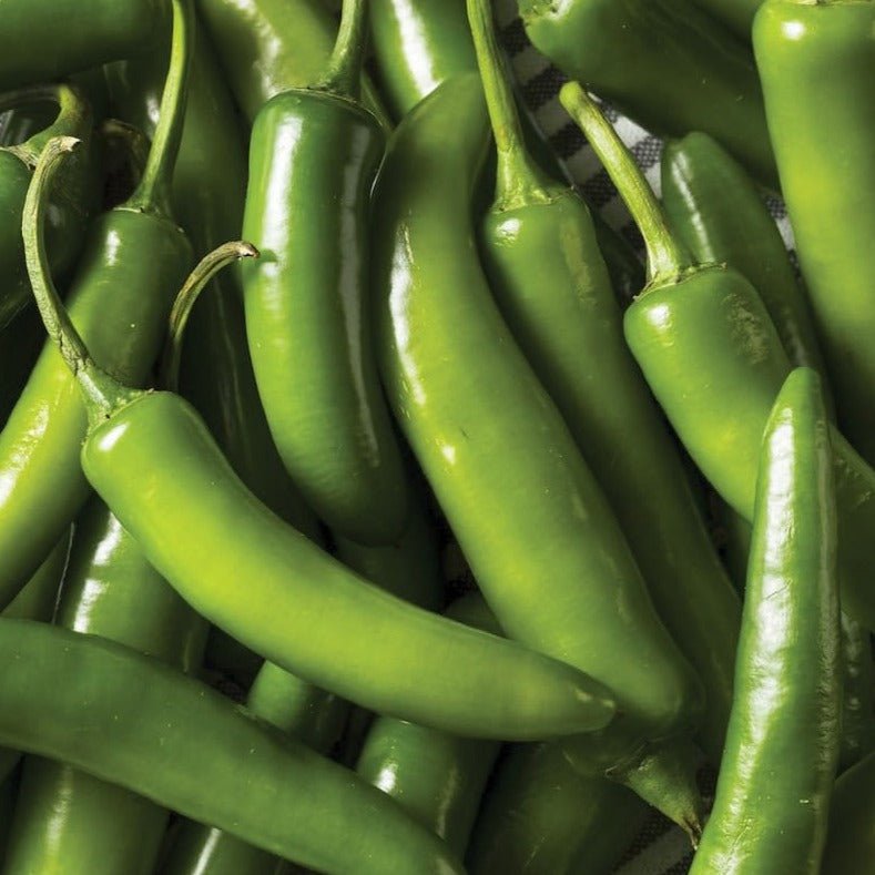 Serrano Tampiqueño Pepper - Team Grow