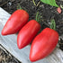 Sheboygan Tomato - Team Grow