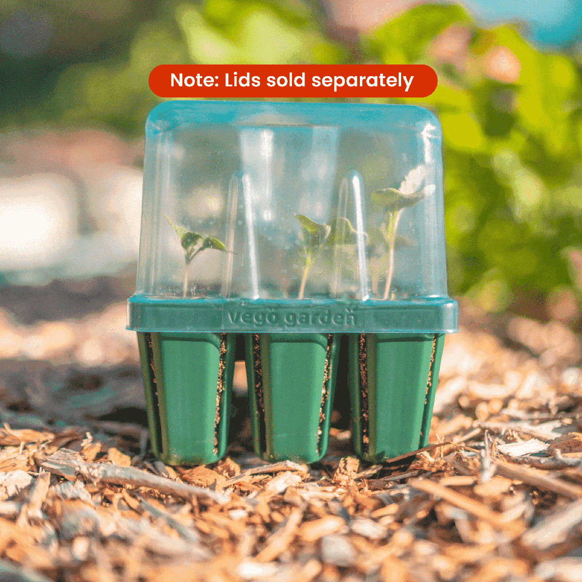 Standard Seedling Trays - Team Grow