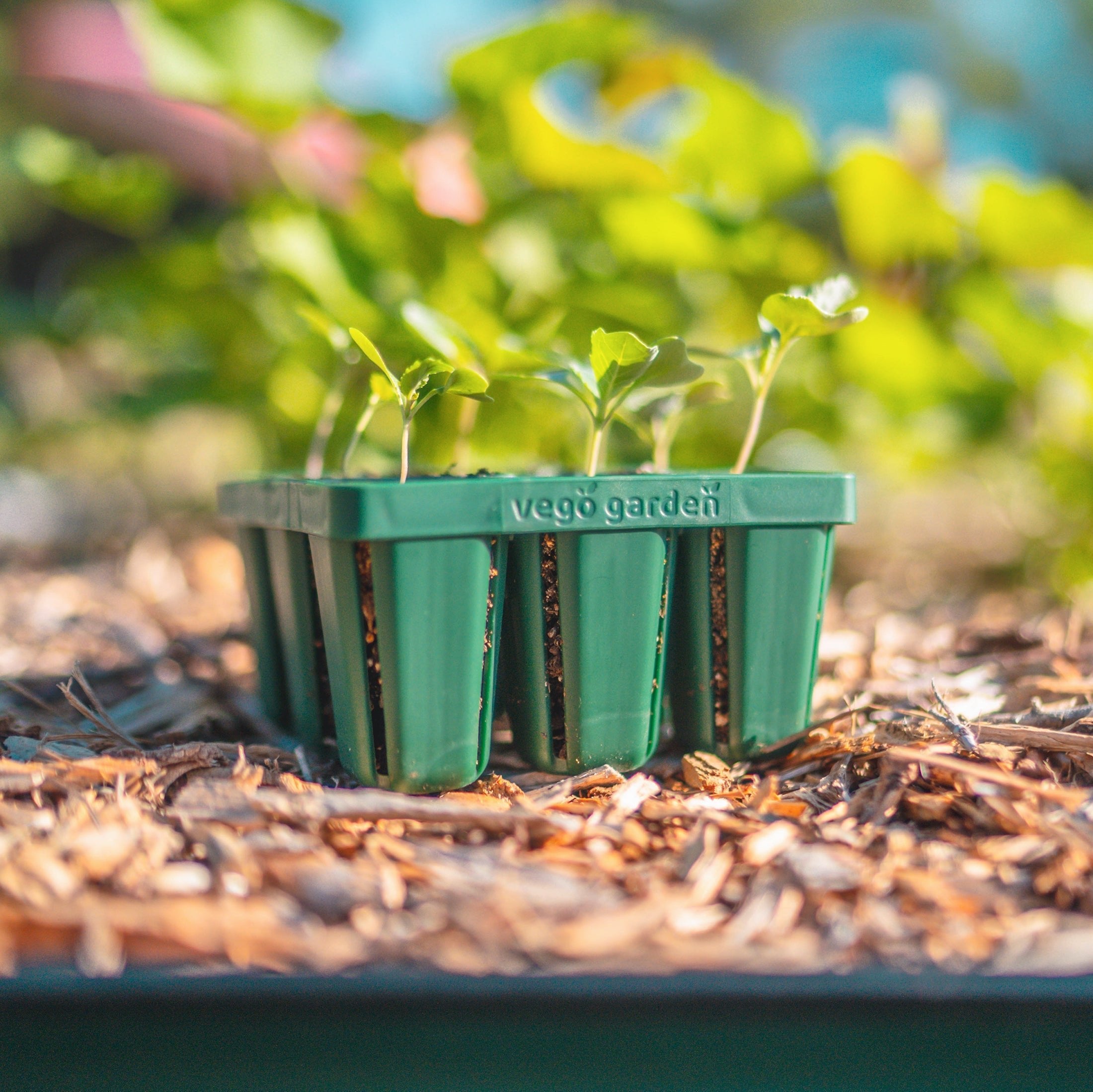 planting seed trays Standard Seedling Trays 32 Pack