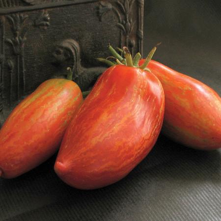 Striped Roma Tomato - Team Grow