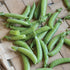 Sugar Anne Pea - Team Grow