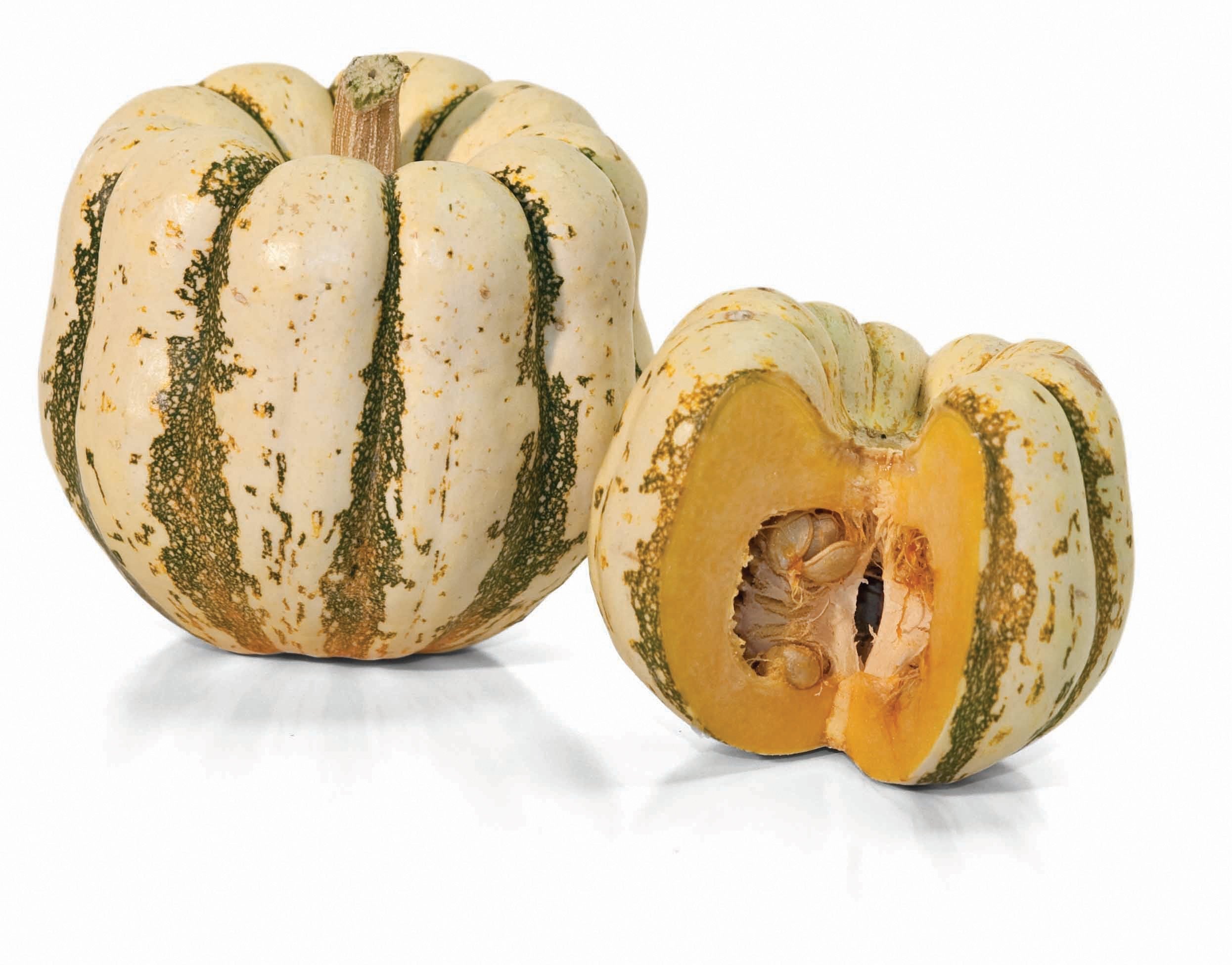 Sweet Dumpling Squash - Team Grow