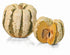 Sweet Dumpling Squash - Team Grow