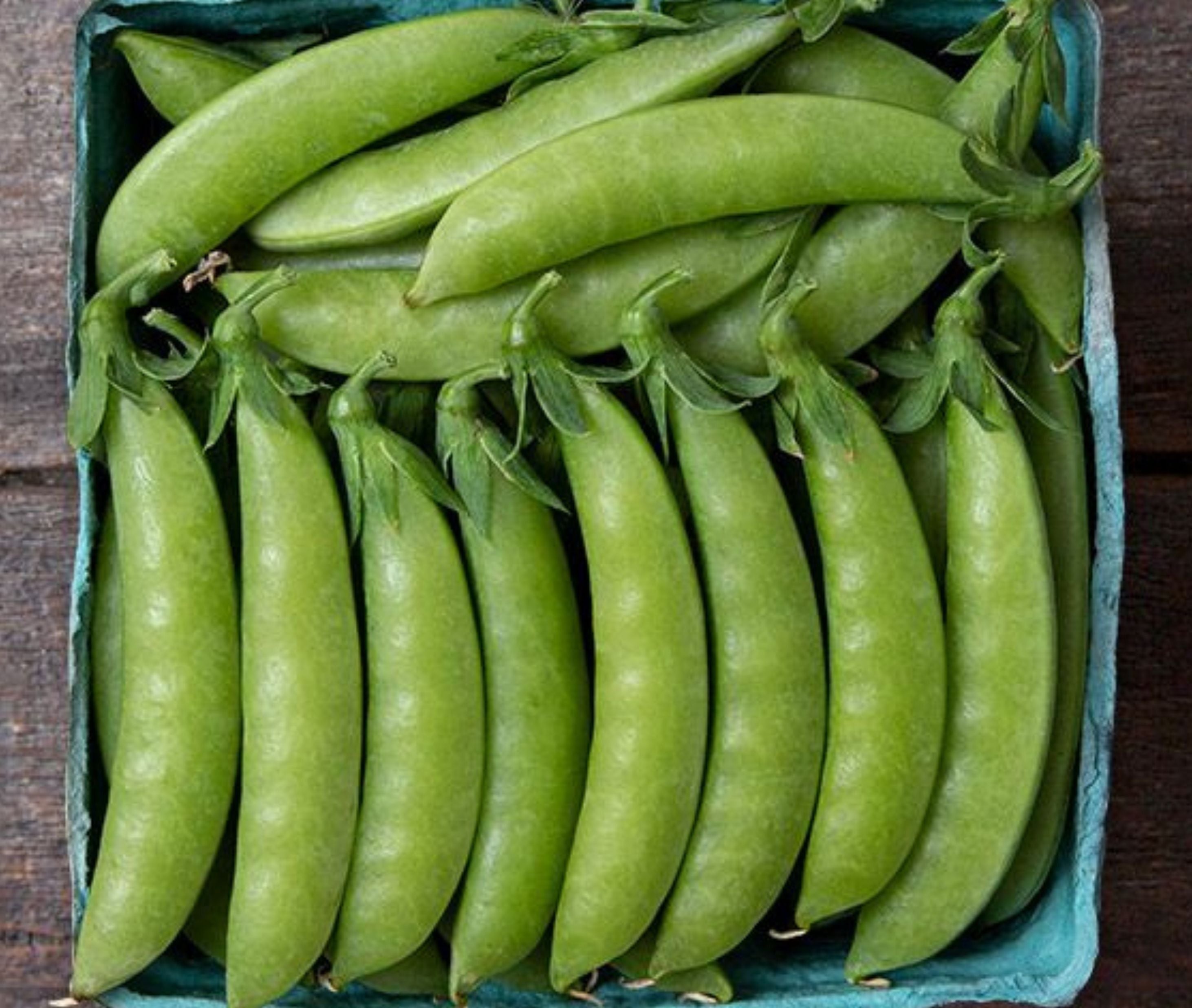 Sweet Gem Pea - Team Grow