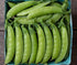 Sweet Gem Pea - Team Grow
