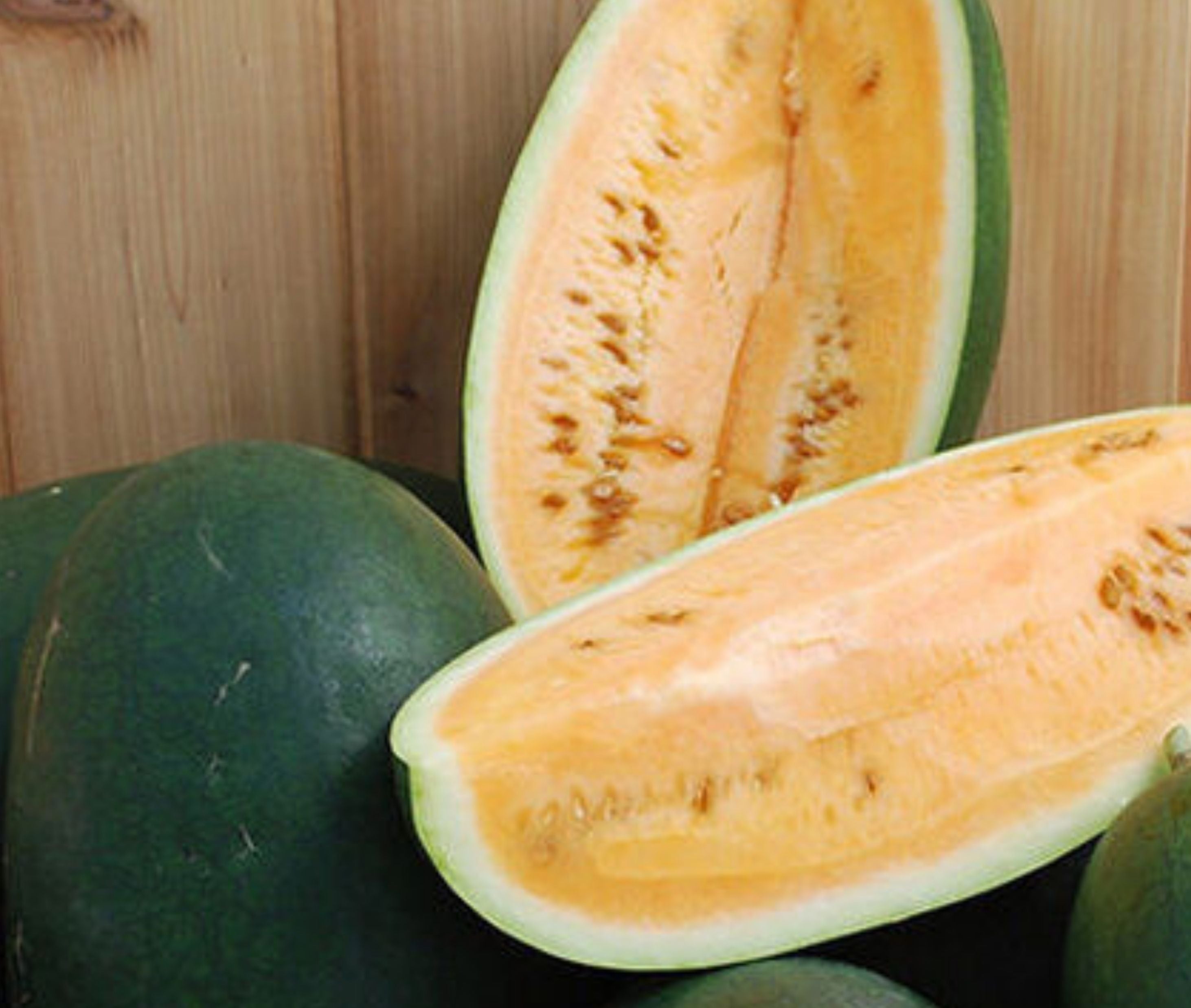 Sweet Siberian Watermelon - Team Grow