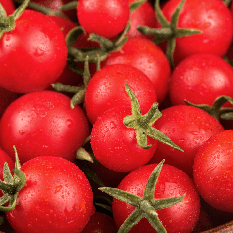 Sweetie Tomato - Team Grow