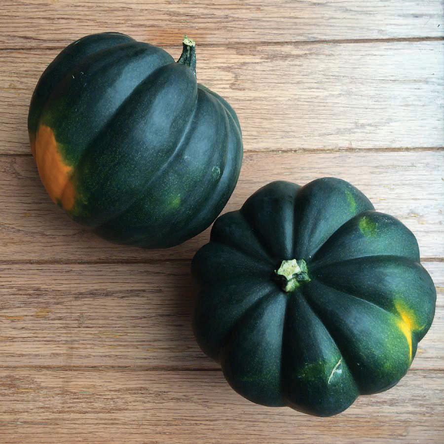 Table King Bush Acorn Squash - Team Grow