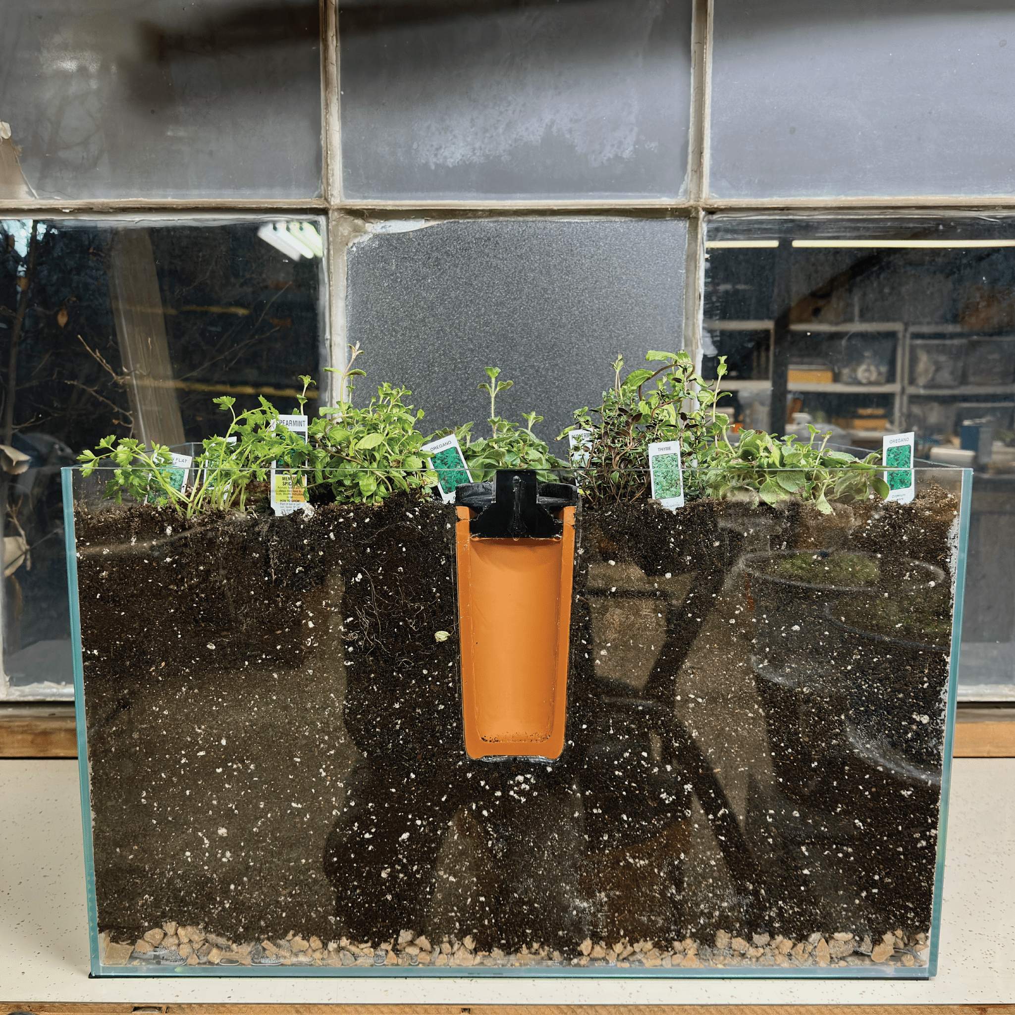 automatic plant pot watering system Thirsty Earth: CottaCup Automatic Olla Watering System for Your Garden 3 Cup Kit