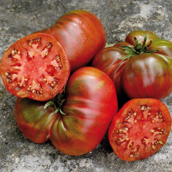 Black Sea Man Tomato