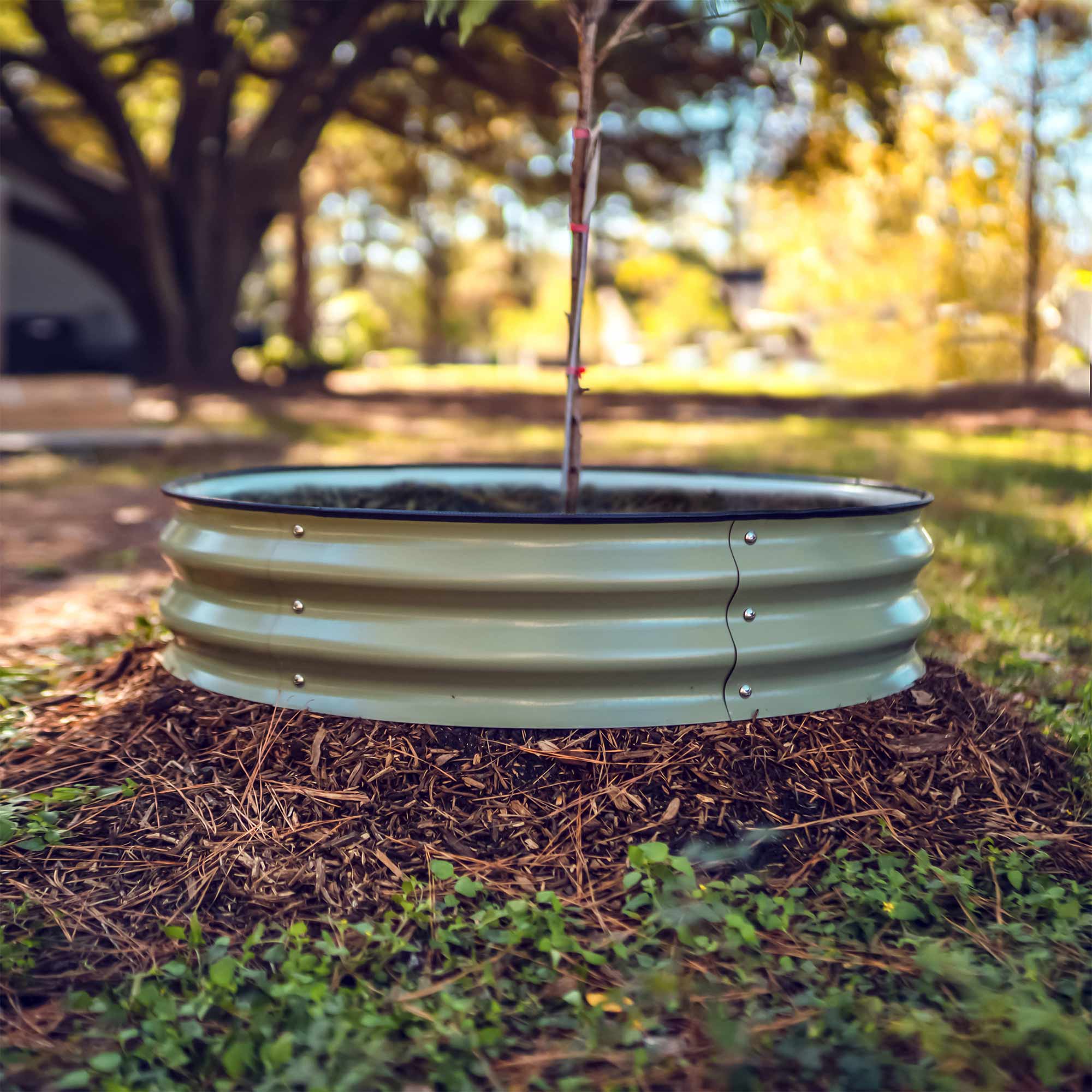 Tree Surround & Watering Ring Kit - Team Grow