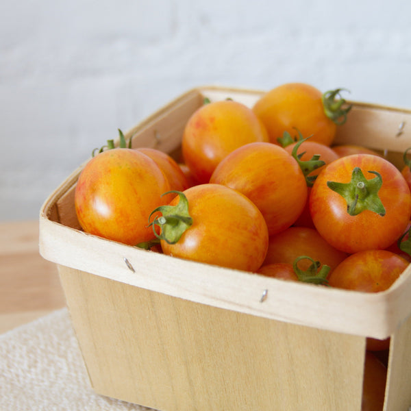 Tropical Sunset Tomato – Team Grow