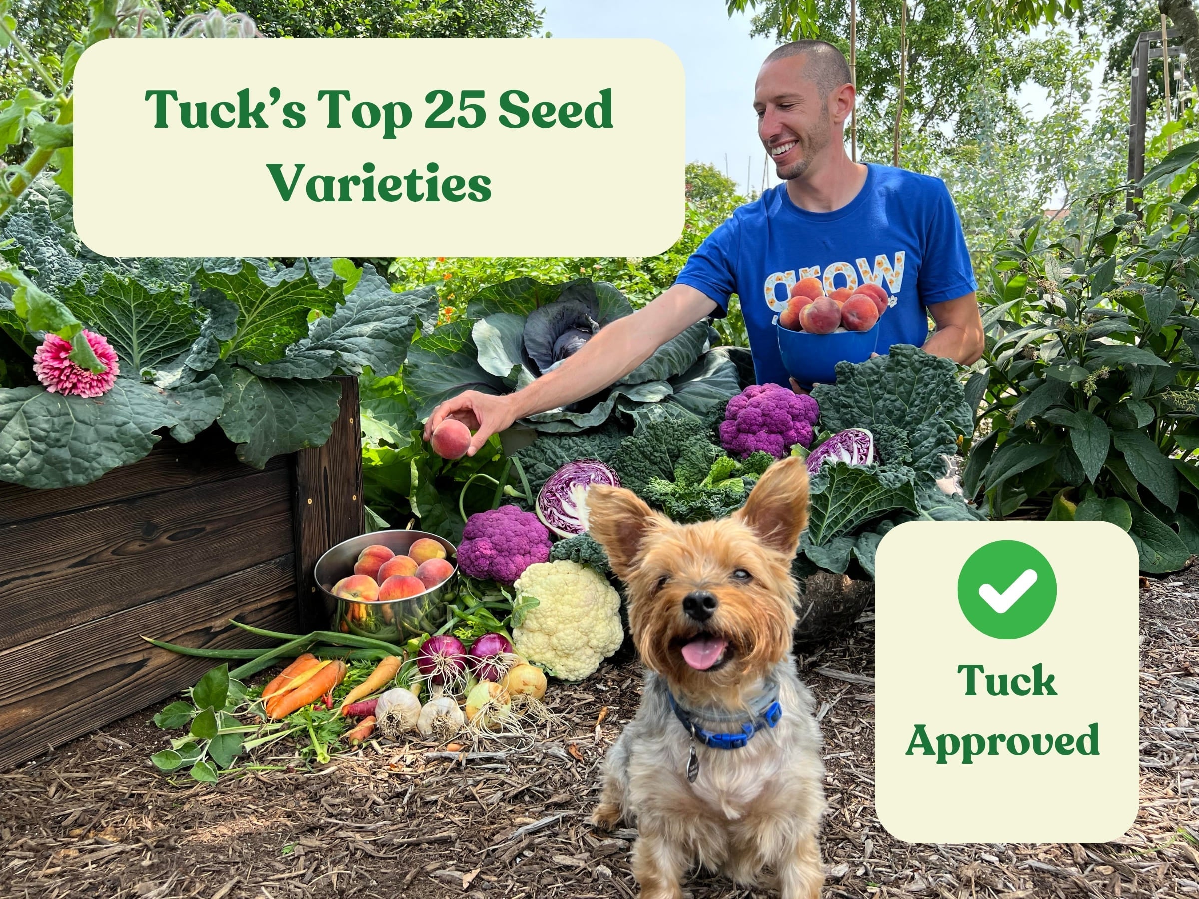 Tuck's Top 25 Seeds Collection - Team Grow