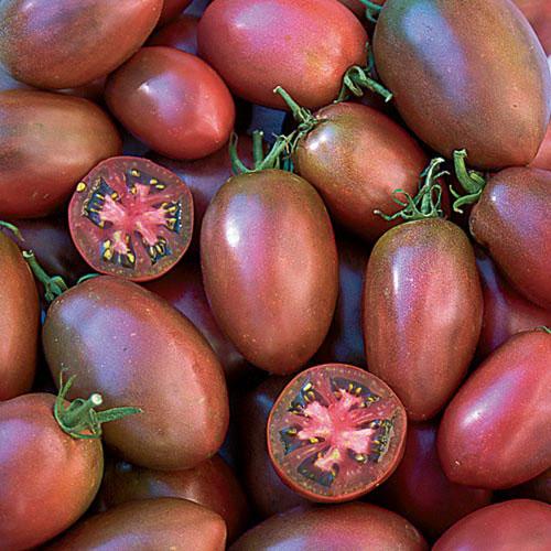 Ukrainian purple tomato - Team Grow