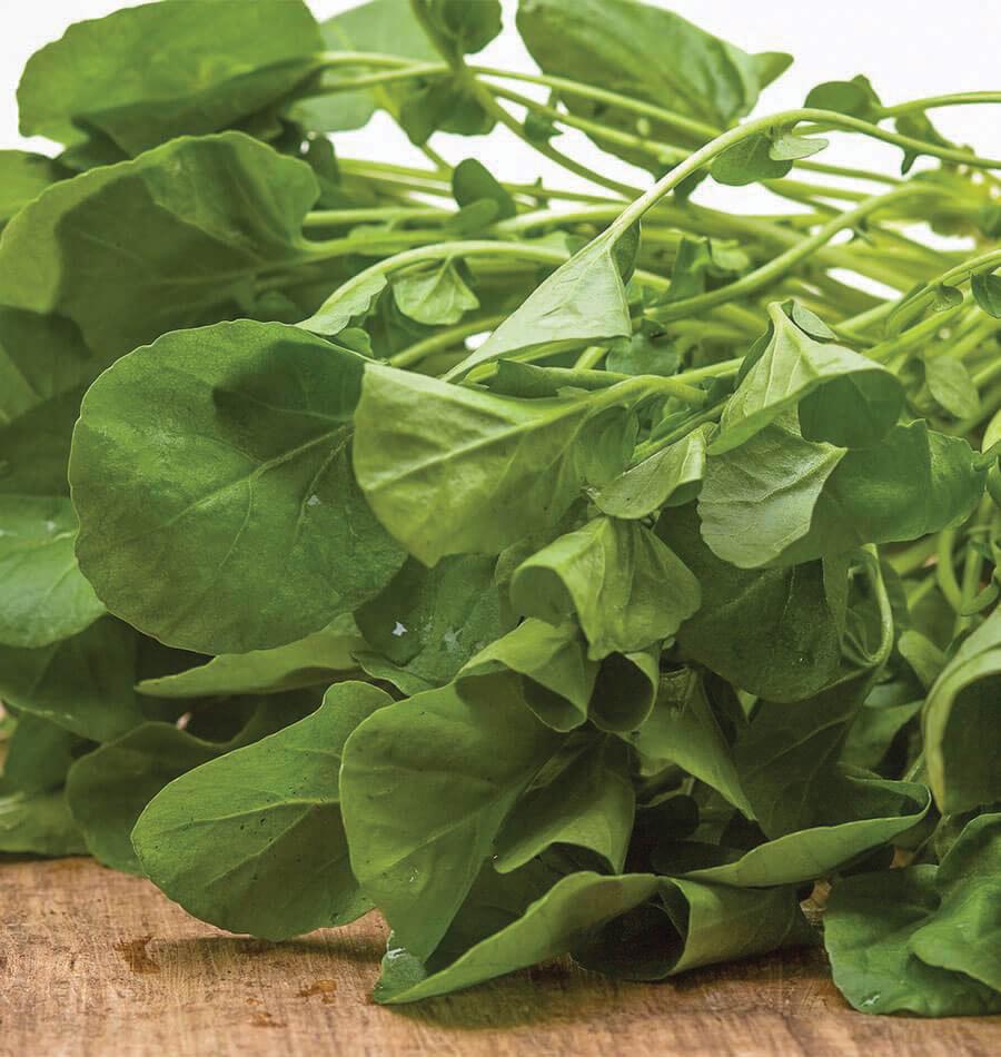 Upland Cress - Team Grow