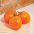 Valencia Tomato - Team Grow