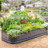 17" Tall 10 In 1 Jumbo Novel Modular Metal Raised Garden Bed Kit