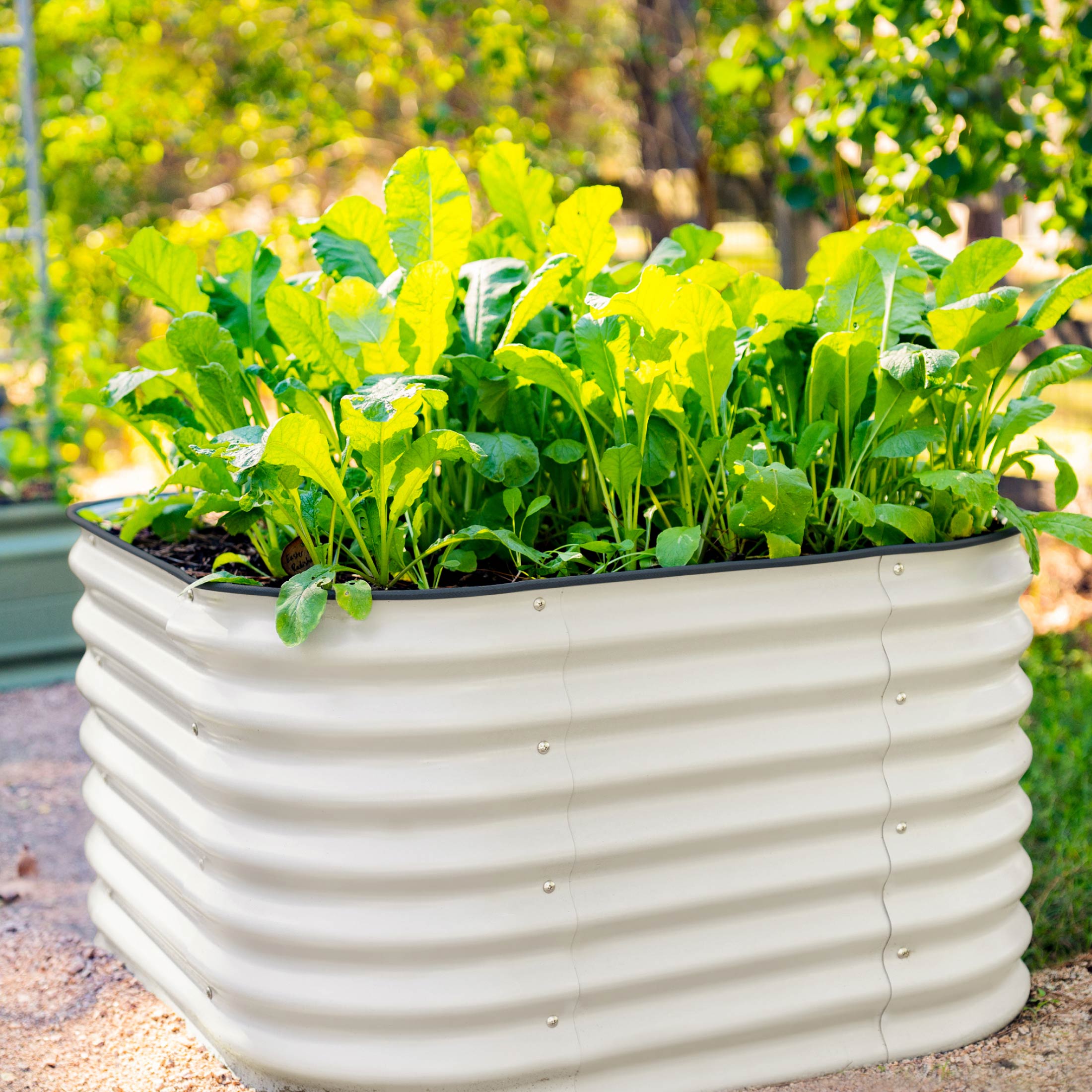 26" Tall 4 In 1 Small Modular Metal Raised Garden Bed Kit