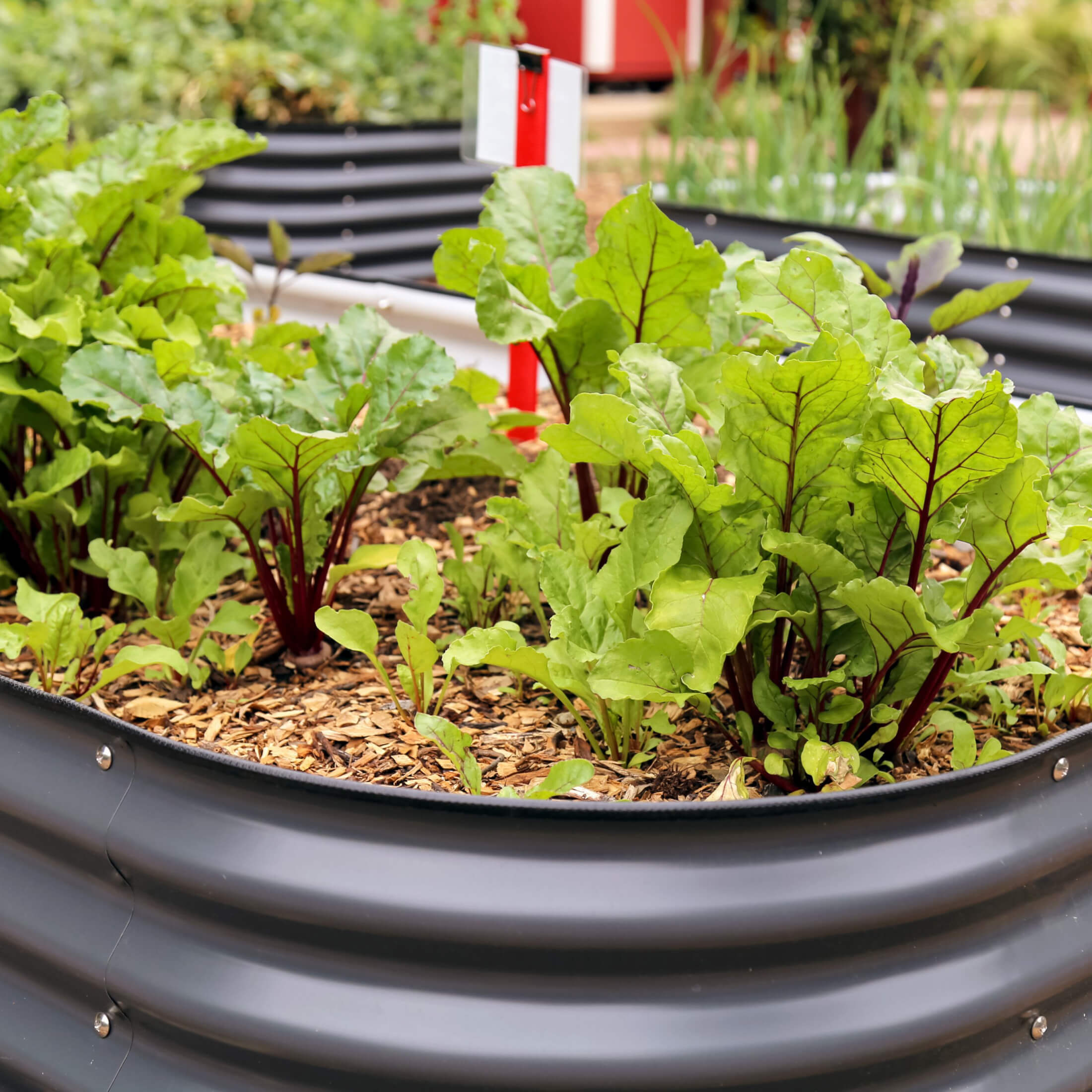 26" Tall 4 In 1 Small Modular Metal Raised Garden Bed Kit