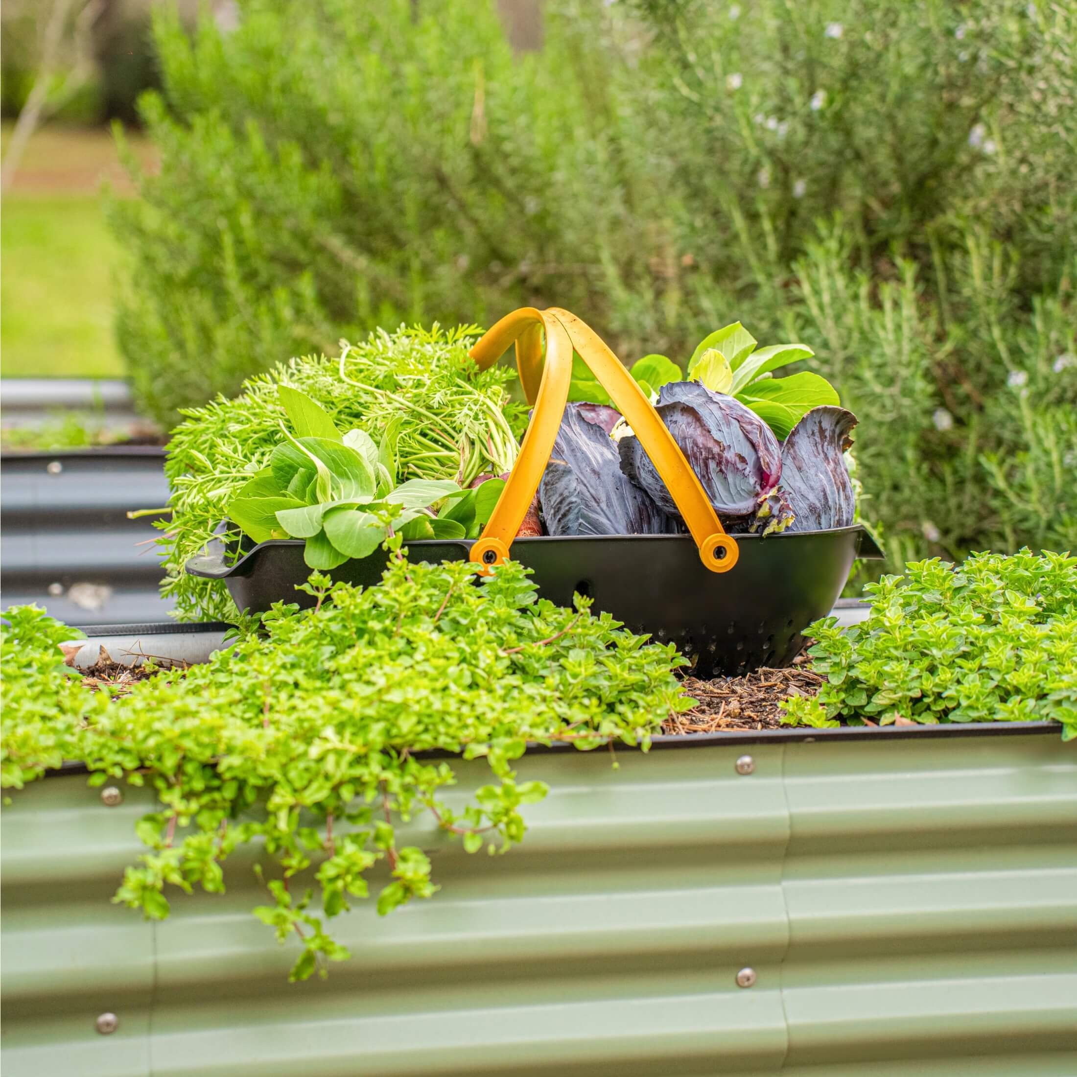 26" Tall 9 In 1 Large Modular Metal Raised Garden Bed Kit