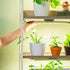 4 Tier Grow Light Garden