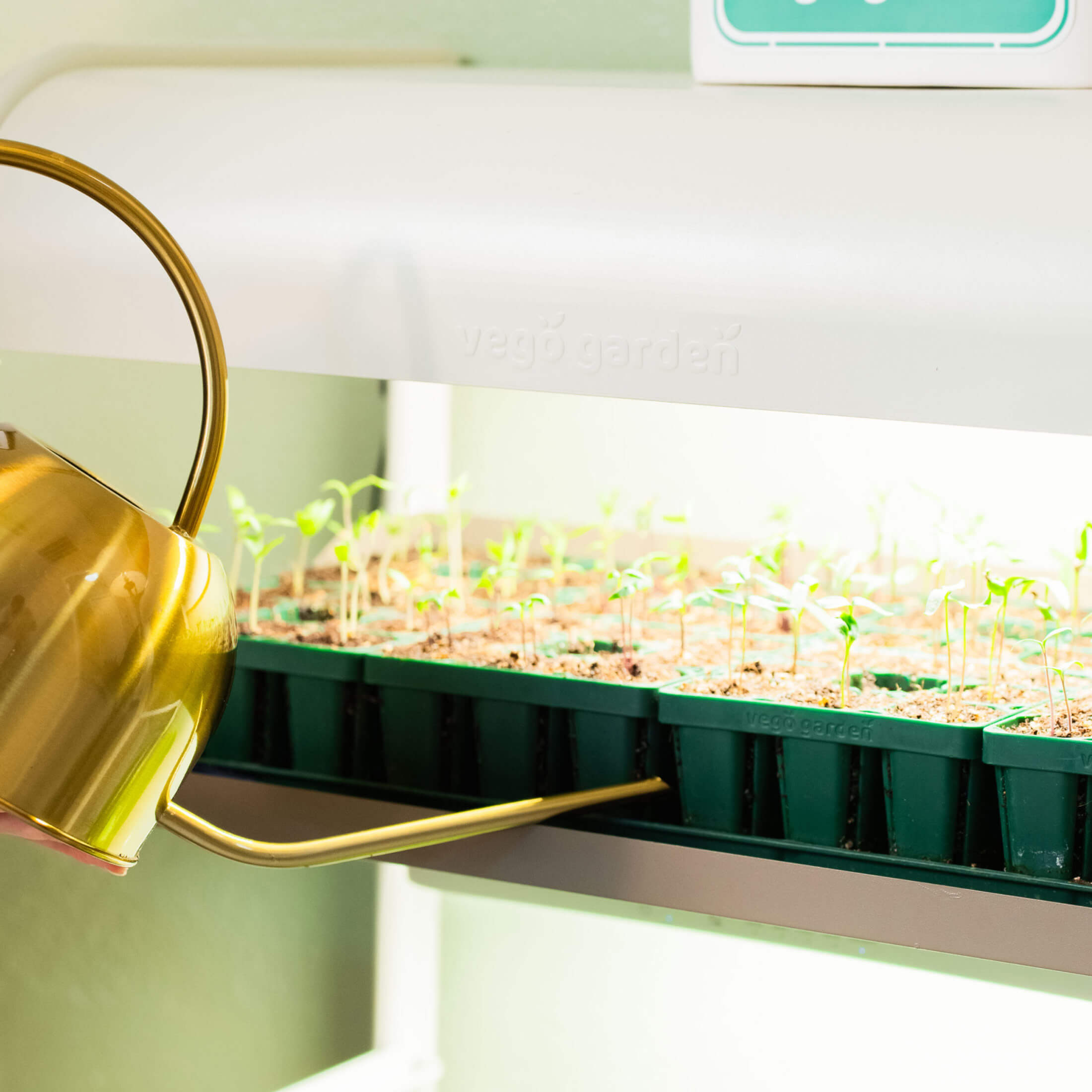 4 Tier Grow Light Garden